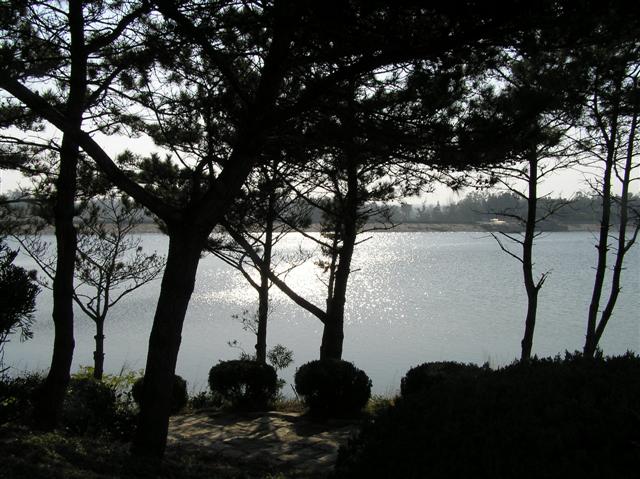 Reflections on Tai Lake